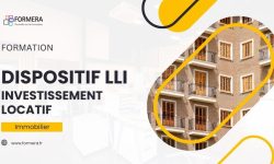 Formation LLI Immobilier