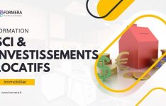 SCI et Investissements Locatifs