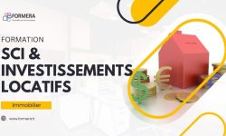 SCI et Investissements Locatifs