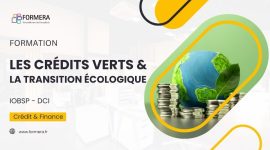 Formation Les crédits verts et la transition écologique